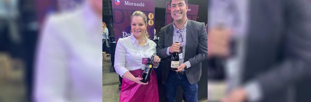 Viña Morandé está entre las bodegas con mayor cantidad de vinos clasificados como decorados